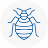 Bed Bug Extermination In Dursley